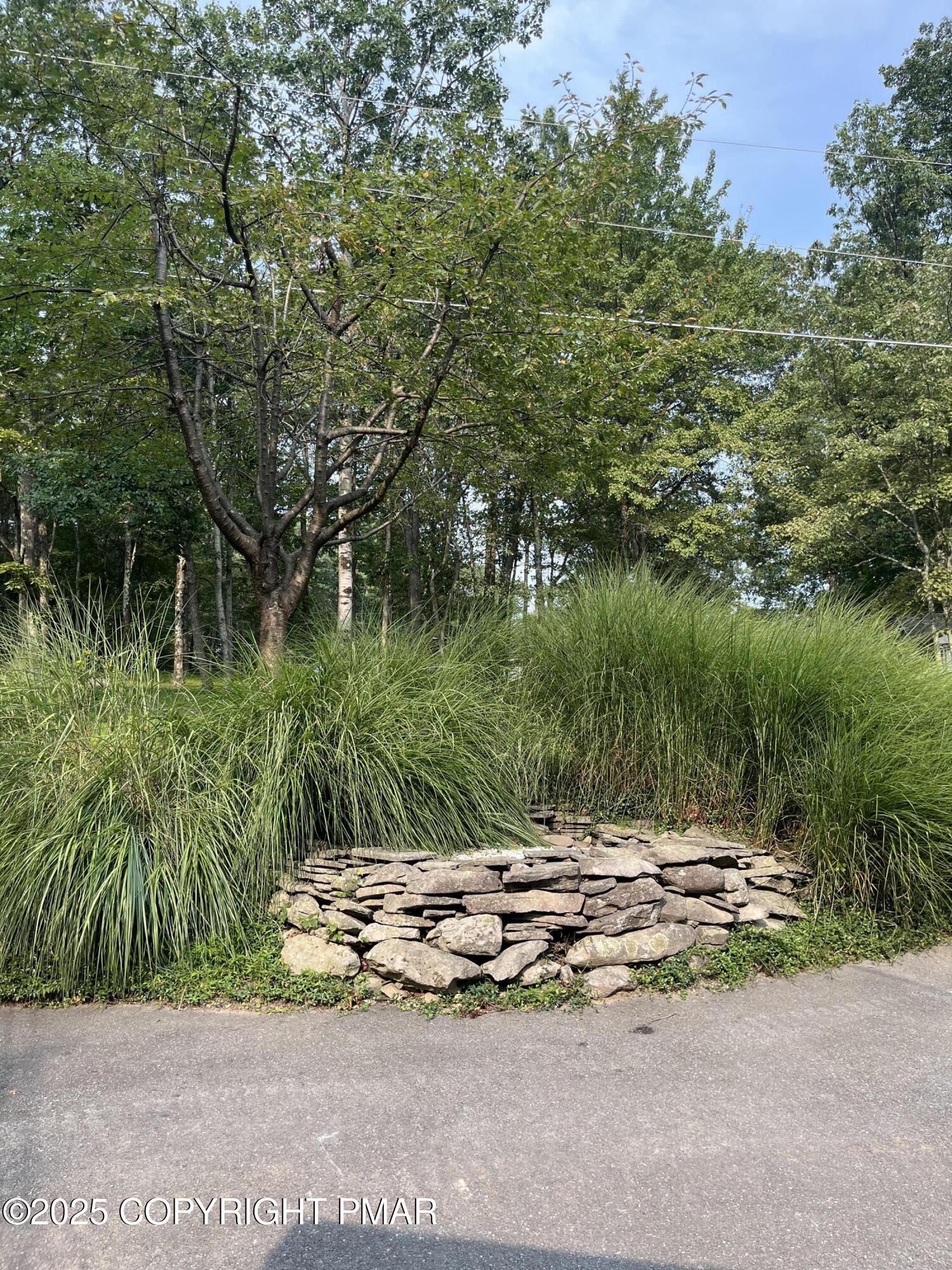 529 Pine Ridge Road Stroudsburg, PA 18360 - Photo 36 of 36 a view of a backyard of a house