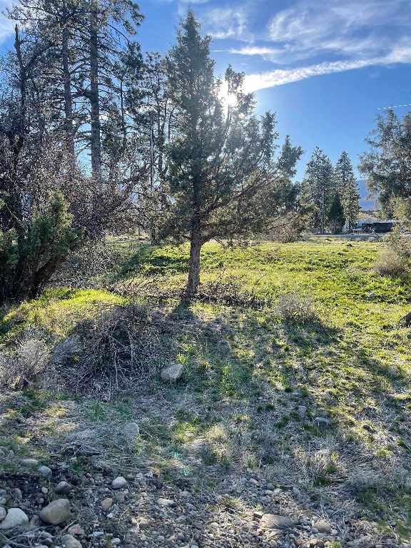 25408 Edgewood Road Weed, CA 96094 - Photo 12 of 15 Gallery Image 12