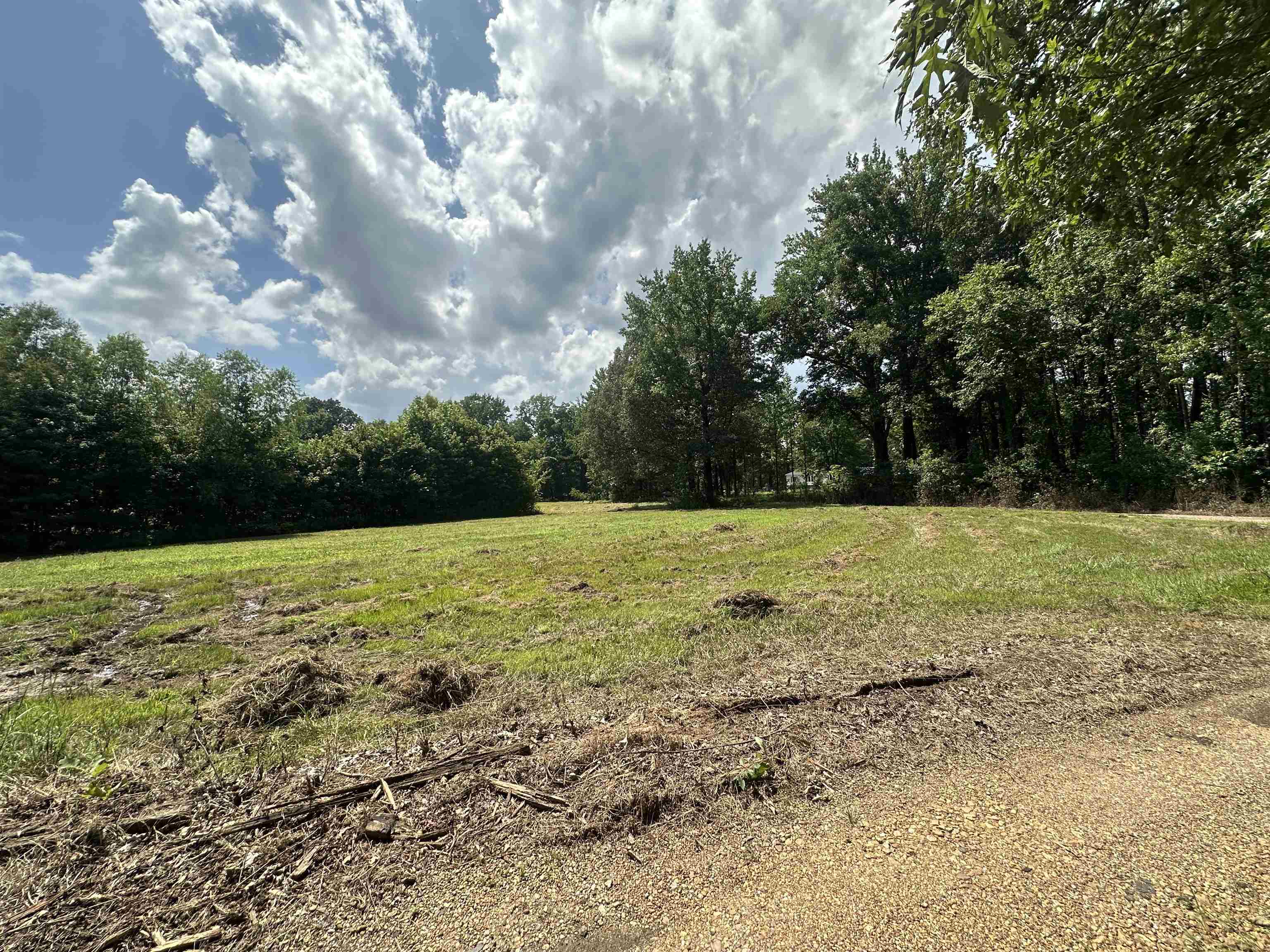 0 Old L&N Road Stanton, TN 38069 - Photo 6 of 10 a view of a field with a trees in the background