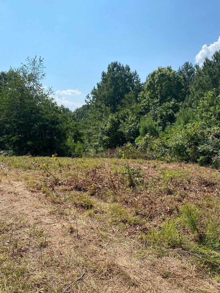 2 Sickler Road Hohenwald, TN 38462 - Photo 15 of 30 Gallery Image 15