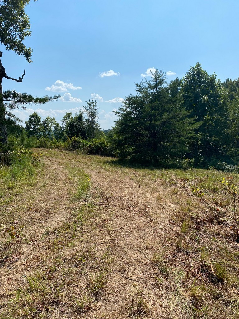 2 Sickler Road Hohenwald, TN 38462 - Photo 18 of 30 Gallery Image 18