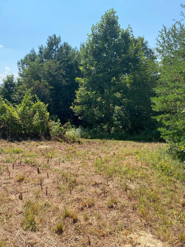2 Sickler Road Hohenwald, TN 38462 - Photo 19 of 30 Gallery Image 19