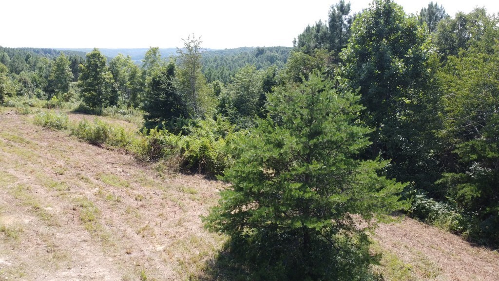 2 Sickler Road Hohenwald, TN 38462 - Photo 2 of 30 Gallery Image 2