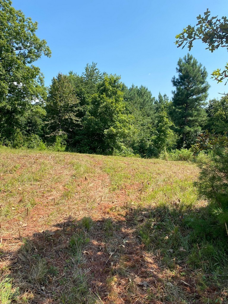 2 Sickler Road Hohenwald, TN 38462 - Photo 24 of 30 Gallery Image 24