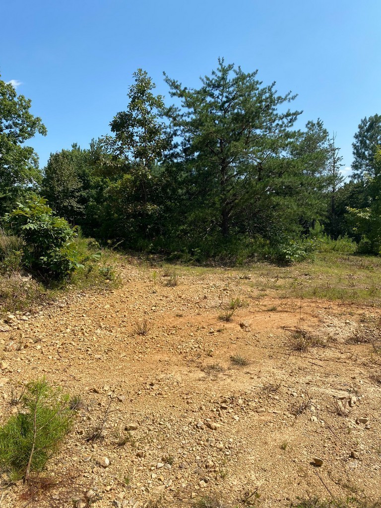 2 Sickler Road Hohenwald, TN 38462 - Photo 25 of 30 Gallery Image 25