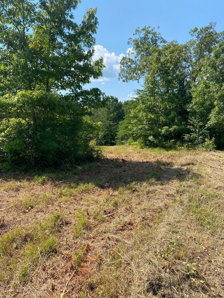 2 Sickler Road Hohenwald, TN 38462 - Photo 26 of 30 Gallery Image 26