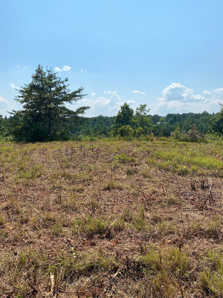2 Sickler Road Hohenwald, TN 38462 - Photo 28 of 30 Gallery Image 28
