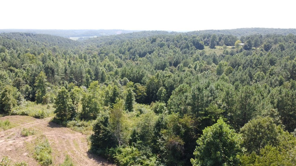 2 Sickler Road Hohenwald, TN 38462 - Photo 3 of 30 Gallery Image 3
