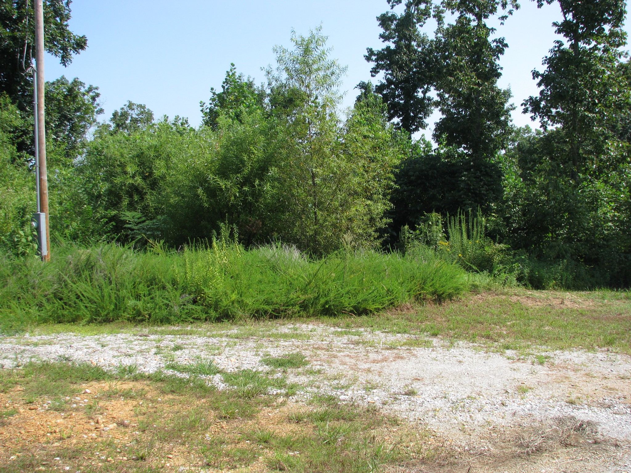1920 Richland Harbor Road Waverly, TN 37185 - Photo 2 of 7 Gallery Image 2