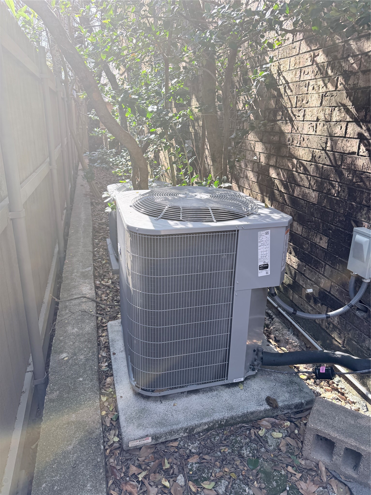 1499 Potomac Drive Houston, TX 77057 - Photo 16 of 21 a view of a pathway with a tree