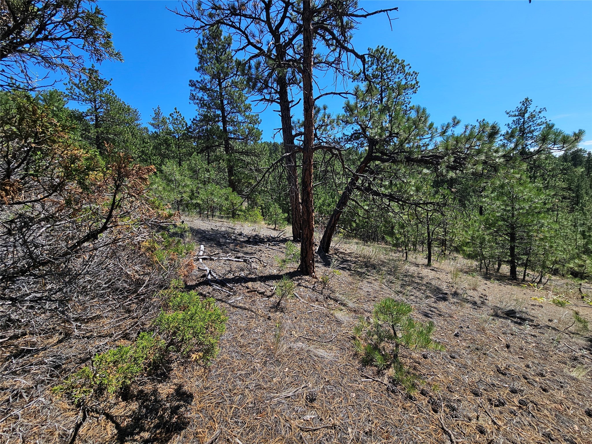 Nhn Upper Sawmill Creek Road Cascade, MT 59421 - Photo 17 of 28 Gallery Image 17