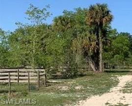 755 Rialto Pointe Drive LaBelle, FL 33935 - Photo 4 of 4 View of yard