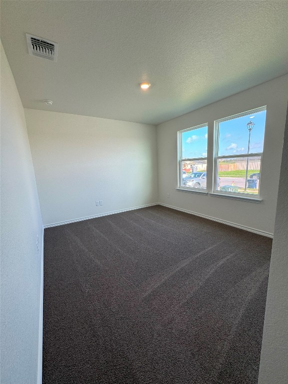 501 Double Vision Road Jarrell, TX 76537 - Photo 23 of 36 an empty room with windows