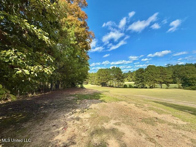 0 Milltowne Drive Wesson, MS 39191 - Photo 2 of 10 IMG_3614