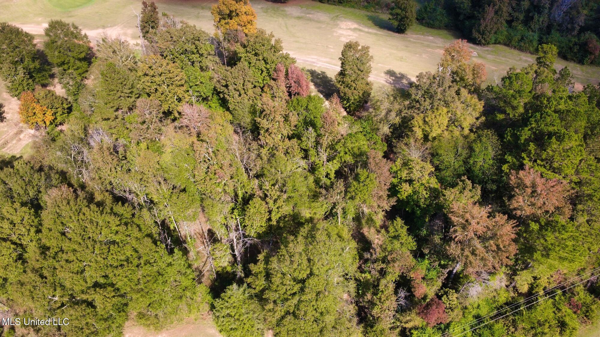 0 Milltowne Drive Wesson, MS 39191 - Photo 5 of 10 dji_fly_20251105_112704_65_1762363984988