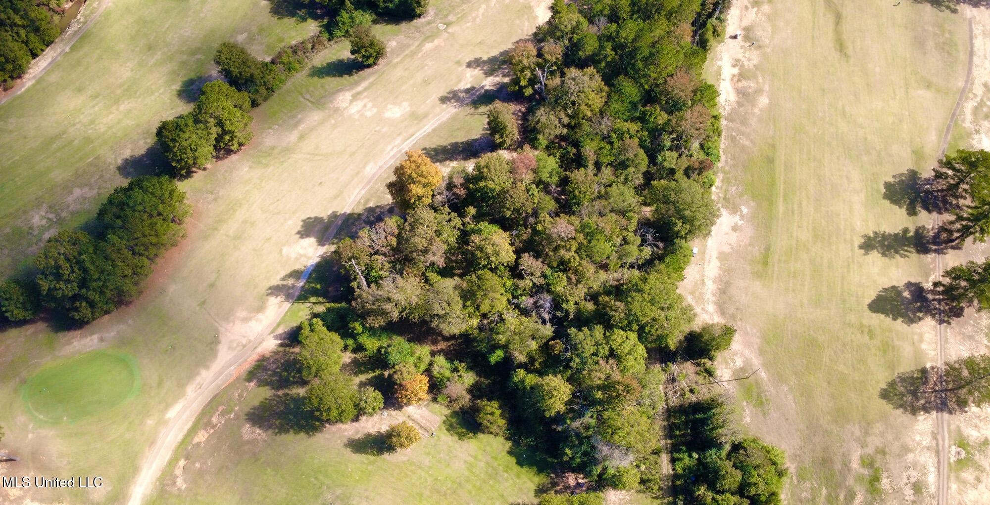 0 Milltowne Drive Wesson, MS 39191 - Photo 6 of 10 dji_fly_20251105_112436_64_1762363505698