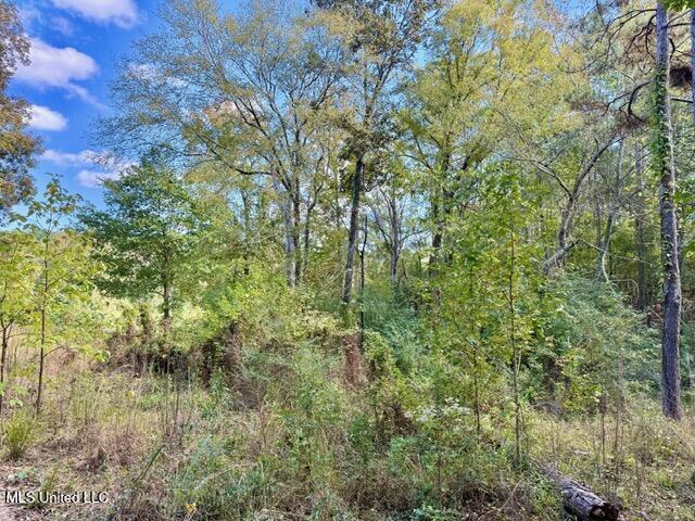 0 Milltowne Drive Wesson, MS 39191 - Photo 8 of 10 IMG_3609