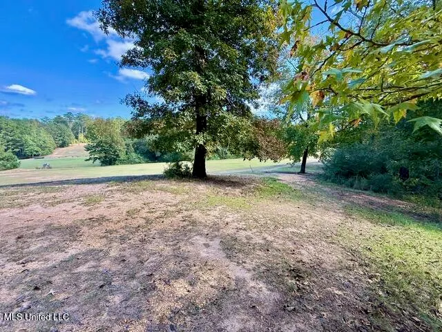 $35,000 | 0 Milltowne Drive, Wesson, MS 39191