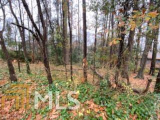 0 Clyde Road Athens, GA 30605 - Photo 1 of 1