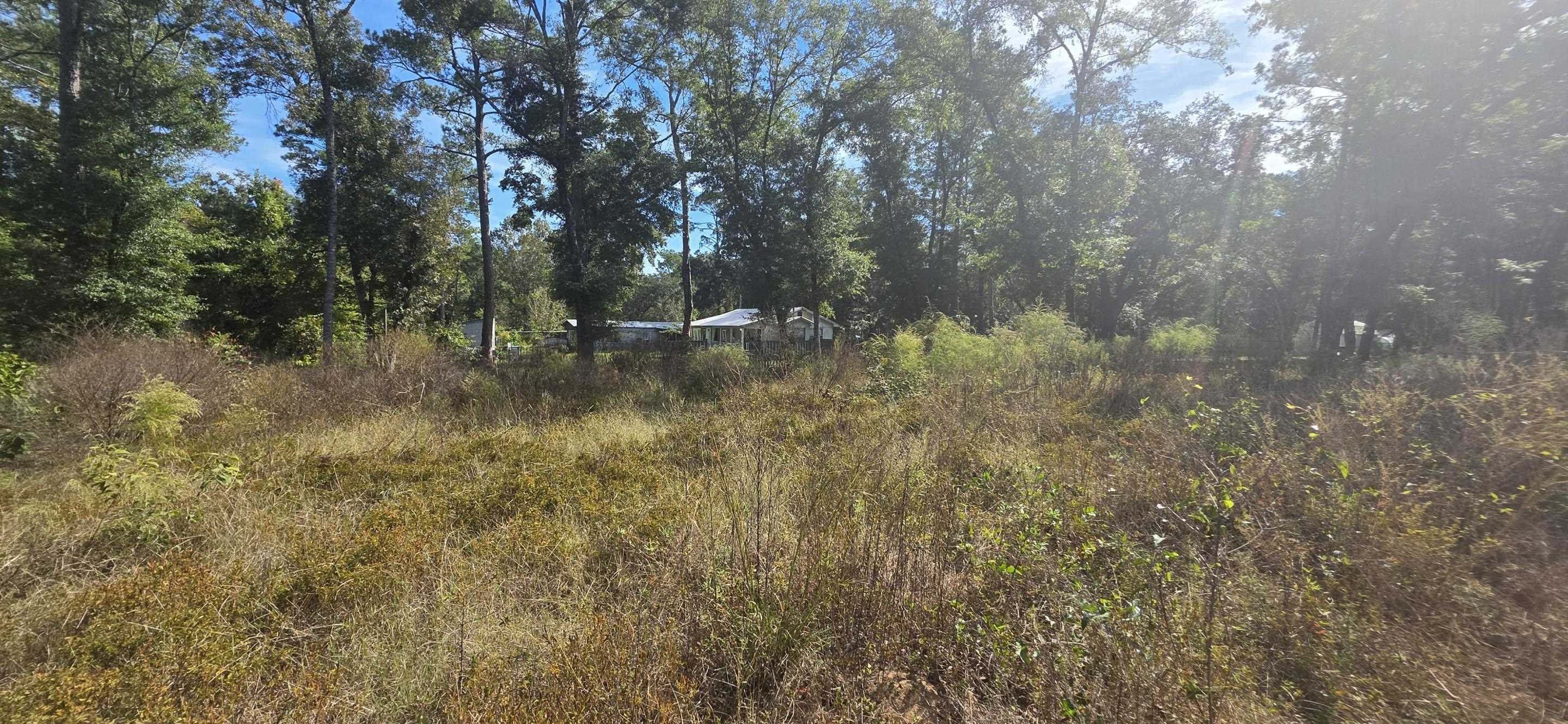 12540 3rd Avenue Foley, AL 36535 - Photo 2 of 22