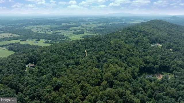 an aerial view of residential houses with outdoor space and trees