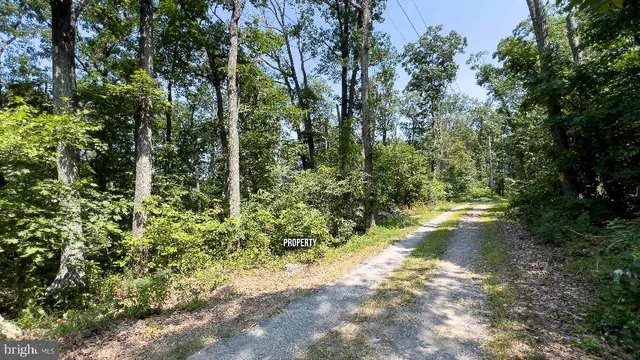 a view of a pathway both side of yard