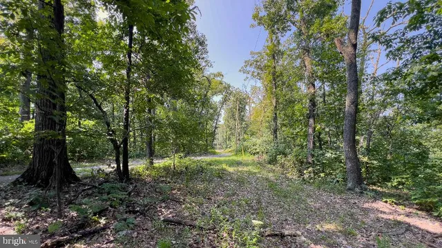 a view of outdoor space and green space