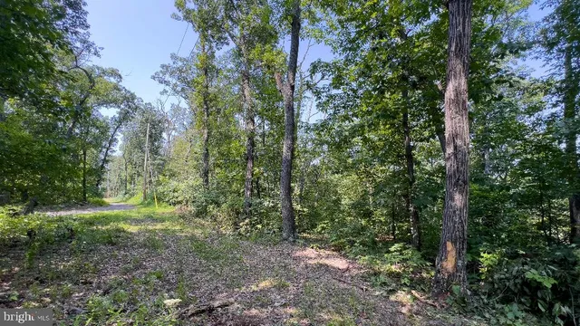a big yard with lots of green space and trees