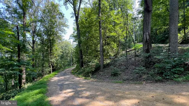 a view of outdoor space and trees all around
