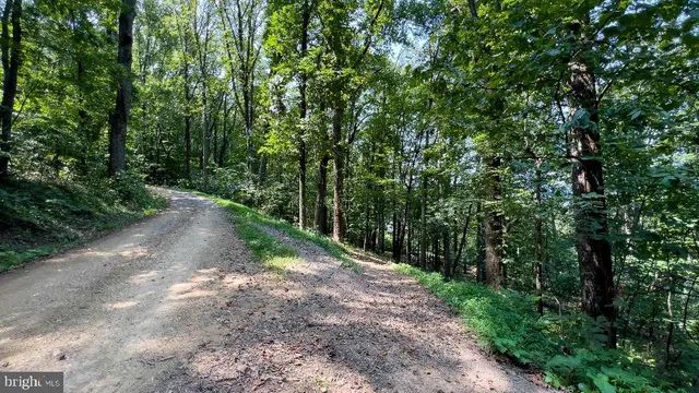 a view of a road with trees in the background