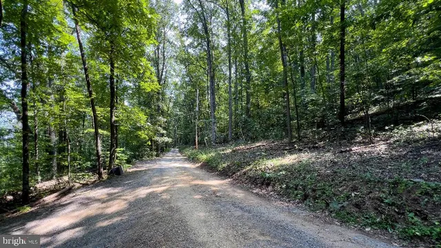 a view of outdoor space with lots of trees
