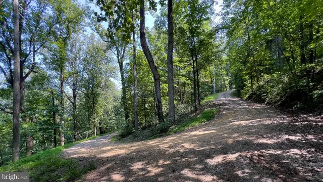 a view of a street with lots of trees