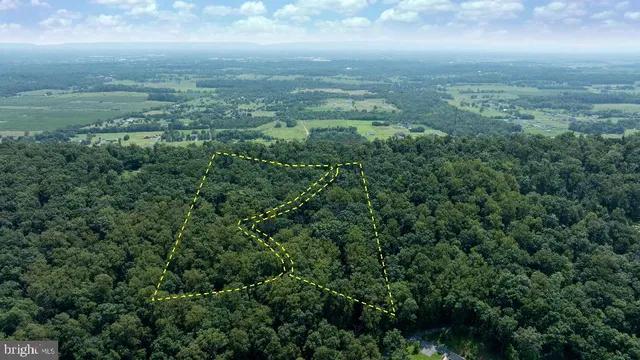 an aerial view of houses covered in trees