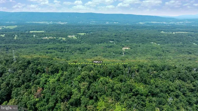 a view of a green field with lots of bushes