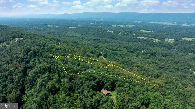 a view of a green field with lots of bushes