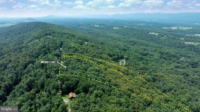 a view of a field of grass and trees