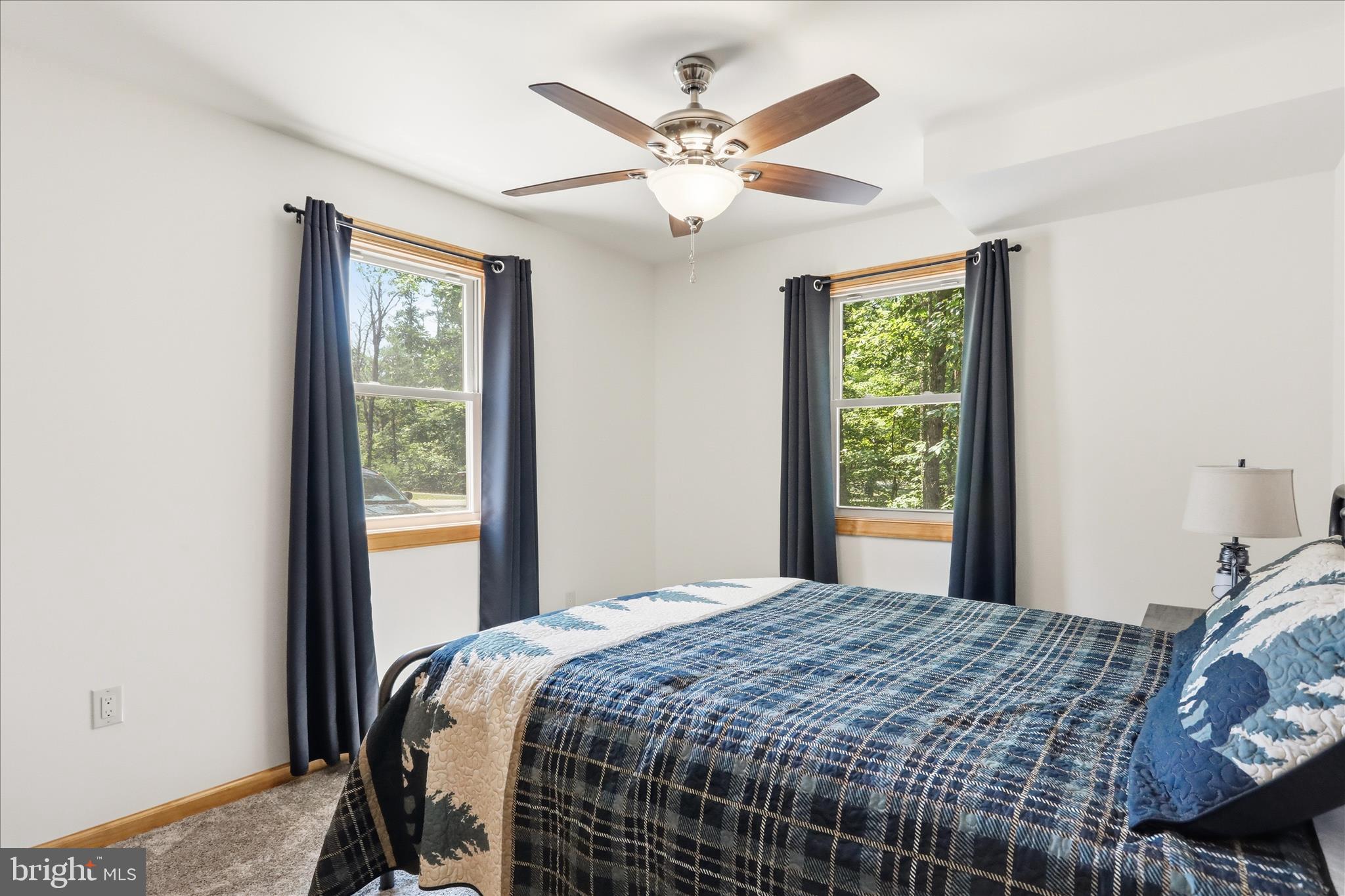 8315 Supinlick Ridge Road Mount Jackson, VA 22842 - Photo 35 of 50