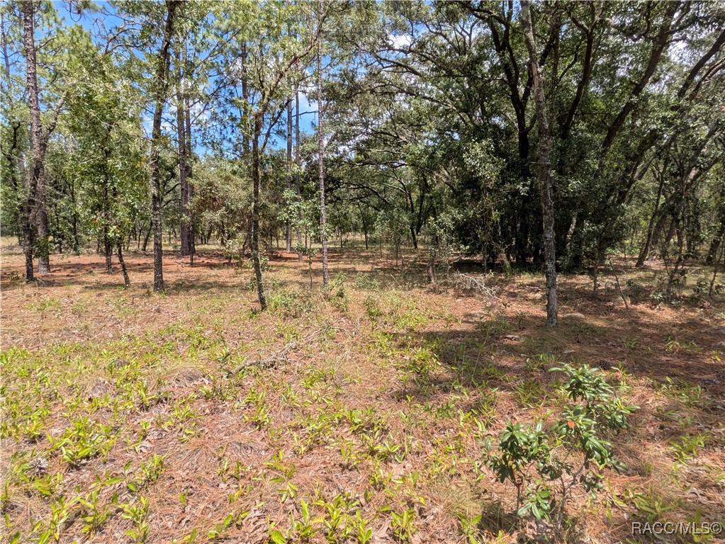 0 Northwest Ridgewood Road Dunnellon, FL 34431 - Photo 1 of 13