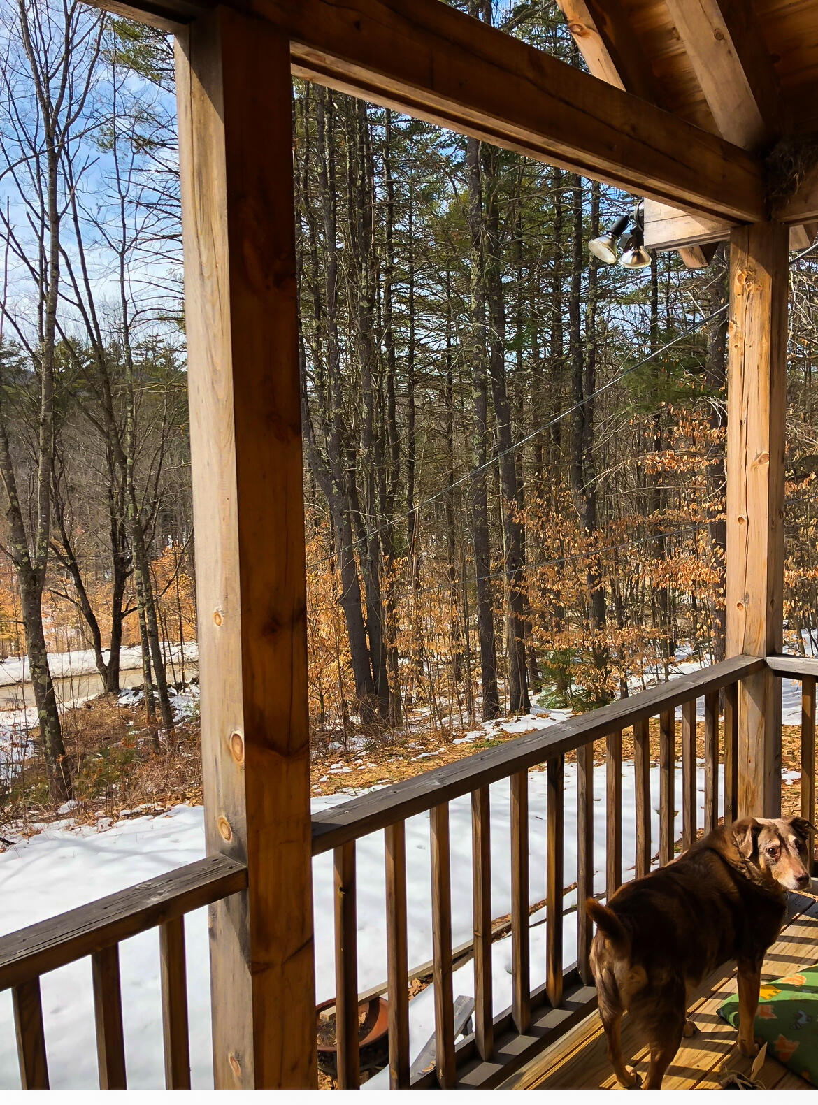 72 Joe Berry Road Cornish, ME 04020 - Photo 7 of 34 IMG_9618