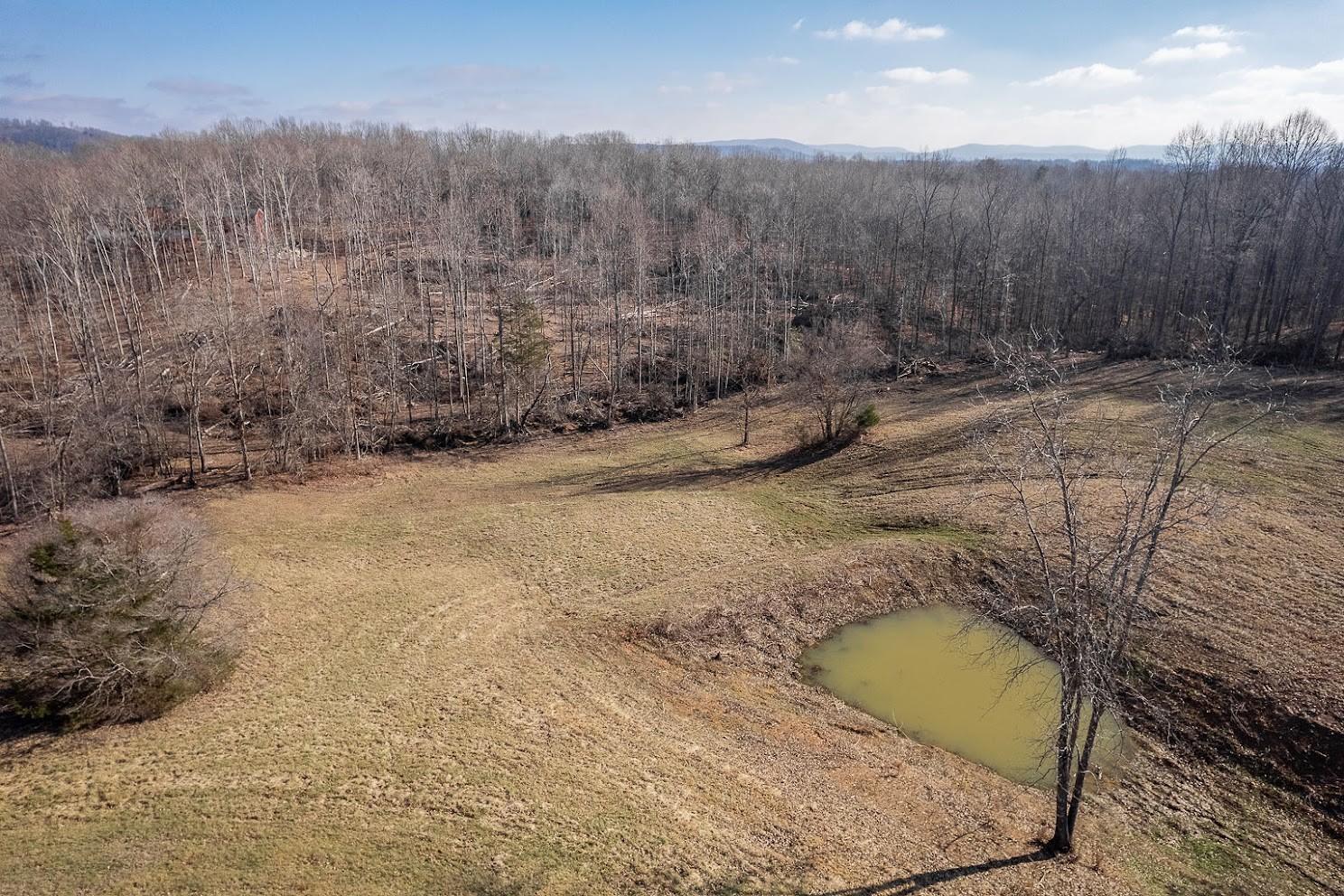 416 O'Neal Road Livingston, TN 38570 - Photo 3 of 22 a view of a backyard
