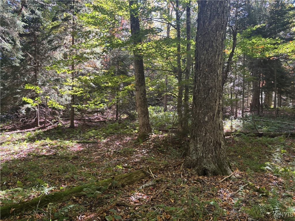 Moehs Road Old Forge, NY 13420 - Photo 4 of 5