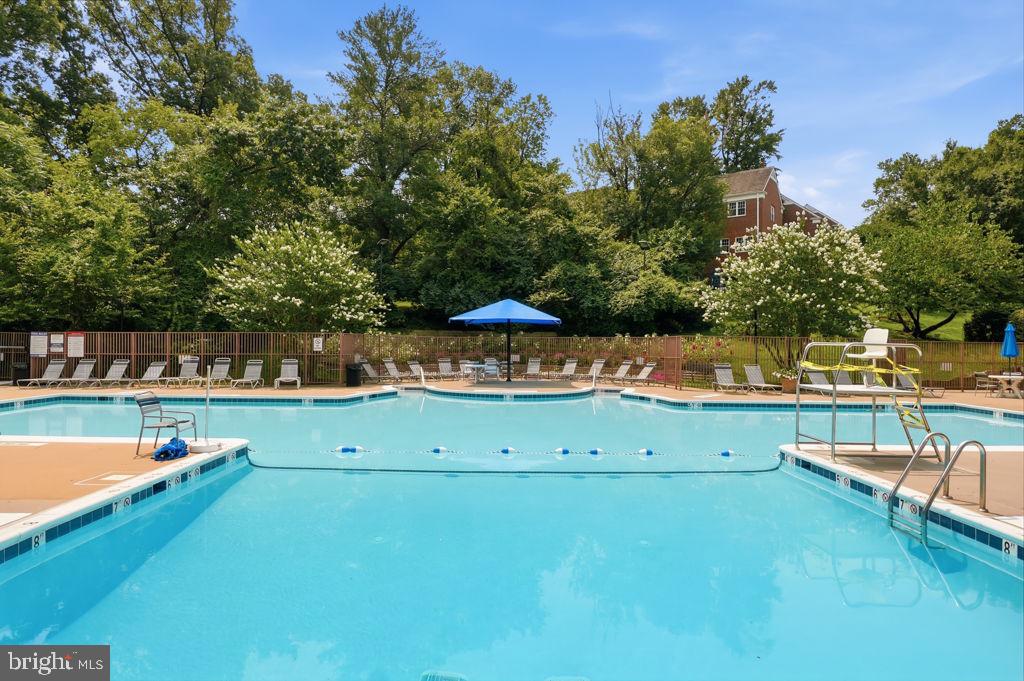 1716 Preston Road Alexandria, VA 22302 - Photo 24 of 27 Lyons Lane pool