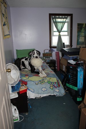 63 Bruce Road Marlborough, MA 01752 - Photo 13 of 20 Gallery Image 13