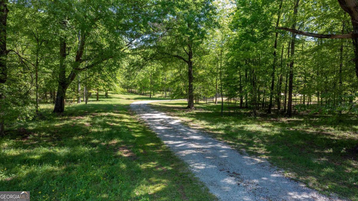 224 Harmony Road Eatonton, GA 31024 - Photo 4 of 68 a view of outdoor space with trees all around