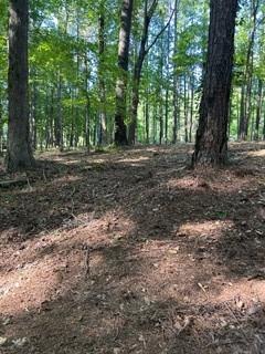 46 Davis Road Hiram, GA 30141 - Photo 2 of 17 a view of outdoor space and yard