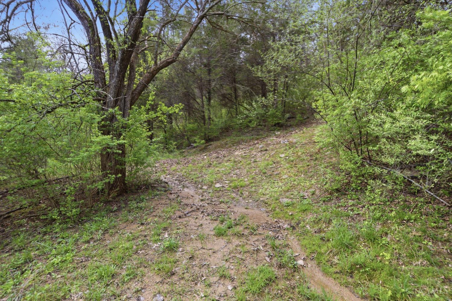5683 Centerpoint Road Georgetown, OH 45121 - Photo 66 of 86