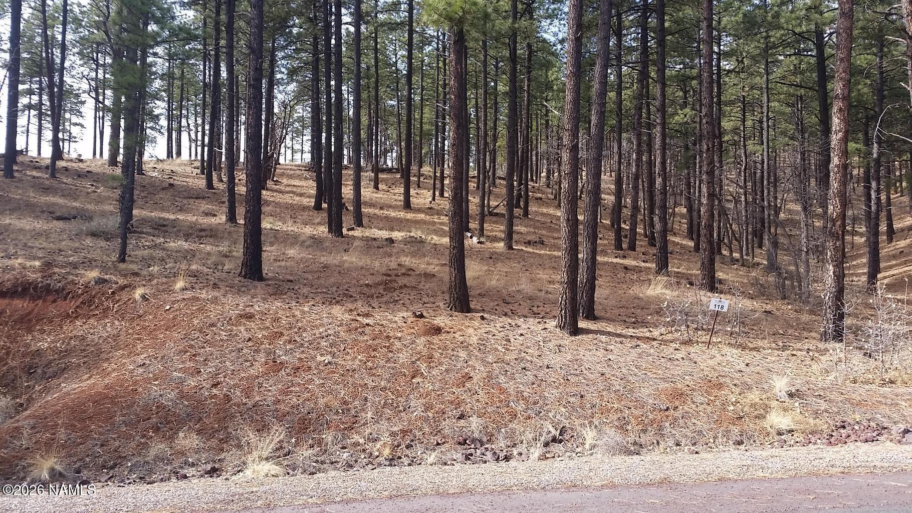 4695 South Flagstaff Ranch Road Flagstaff, AZ 86005 - Photo 2 of 6 2