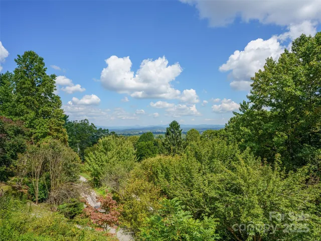 a view of a flower in a garden