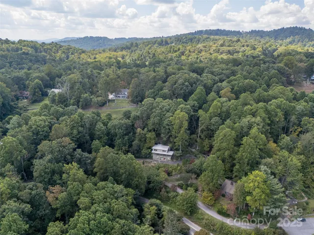 a view of a city with lush green forest