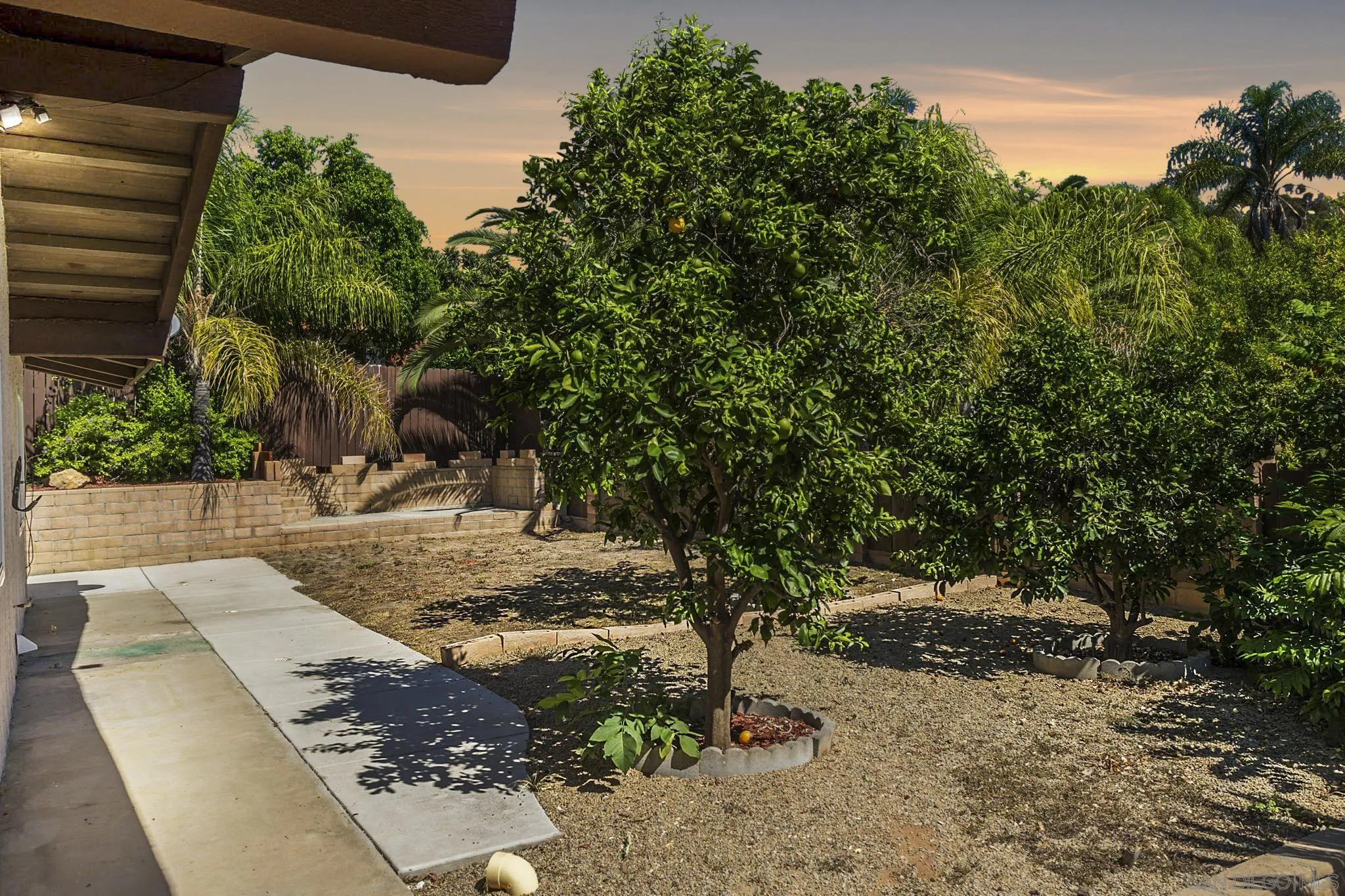 781 North Stage Coach Lane Fallbrook, CA 92028 - Photo 31 of 35 a view of a tree with yard